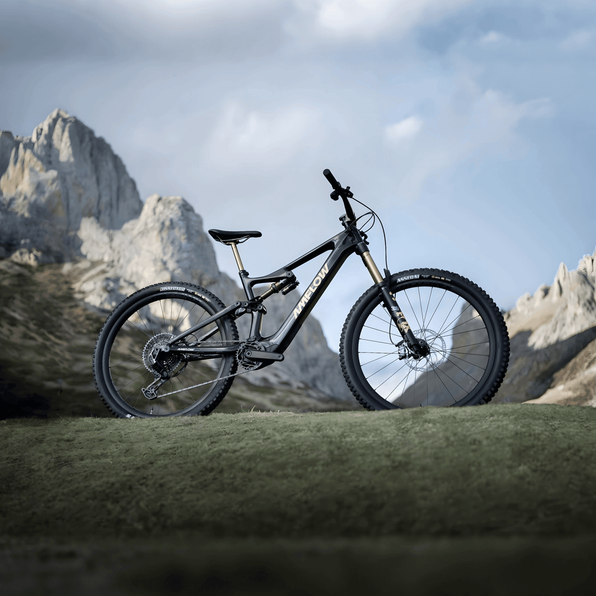 2026 Amflow PL Carbon Pro Electric Mountain Bike - ProluxeTech