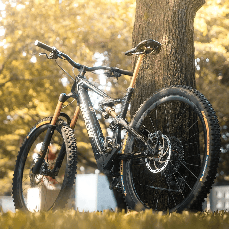 2026 Amflow PL Carbon Pro Electric Mountain Bike - ProluxeTech