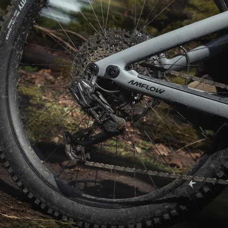 2027 Amflow PR Carbon eMTB – 800Wh Removable Battery, 508W Charger - ProluxeTech